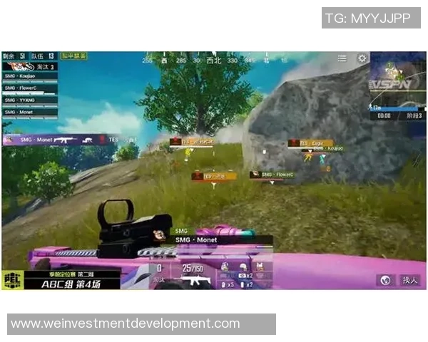 和平精英巨献：深入解析RNG战队的极速战术与团队协作秘诀